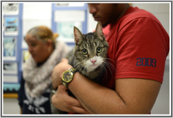 Student Surgical Opportunities I Student Surgical Opportunities I